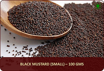 Black Mustard - 100 Gms
